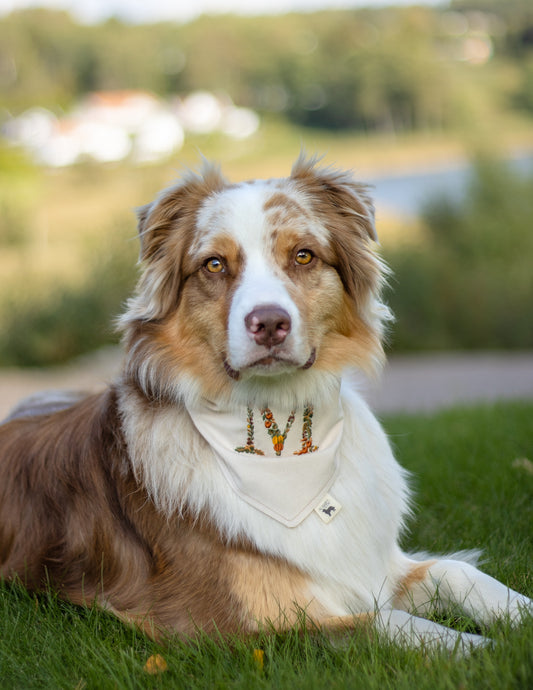 Modern - Høstinitial