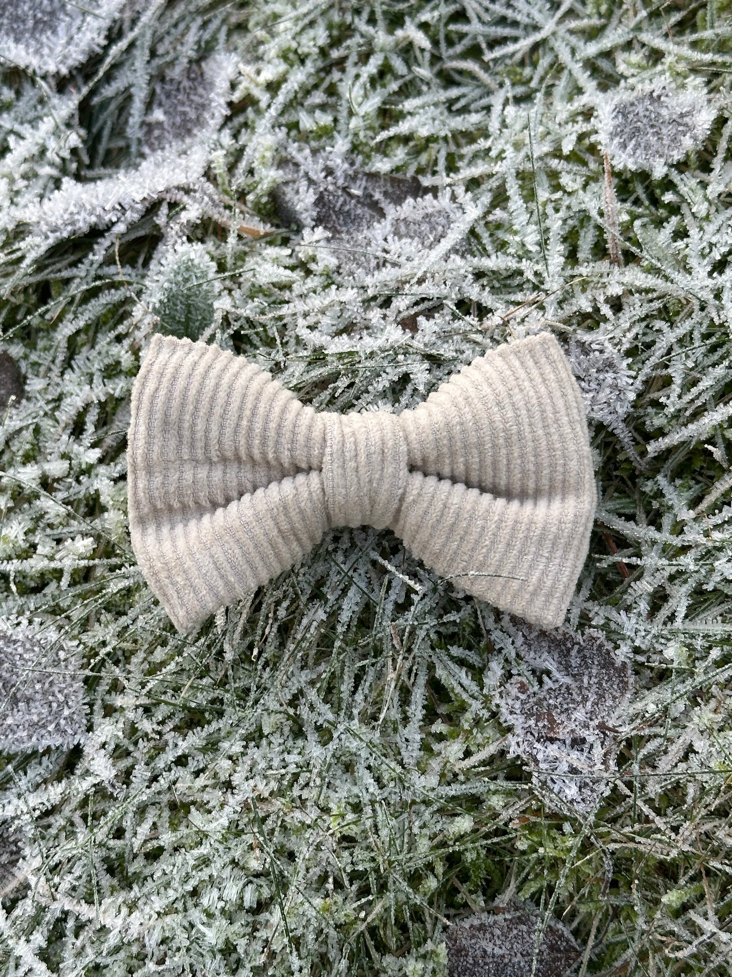 Klassisk sløyfe - Cord