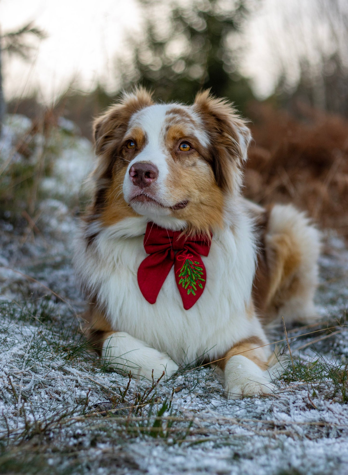 Vintage sløyfe - Misteltein