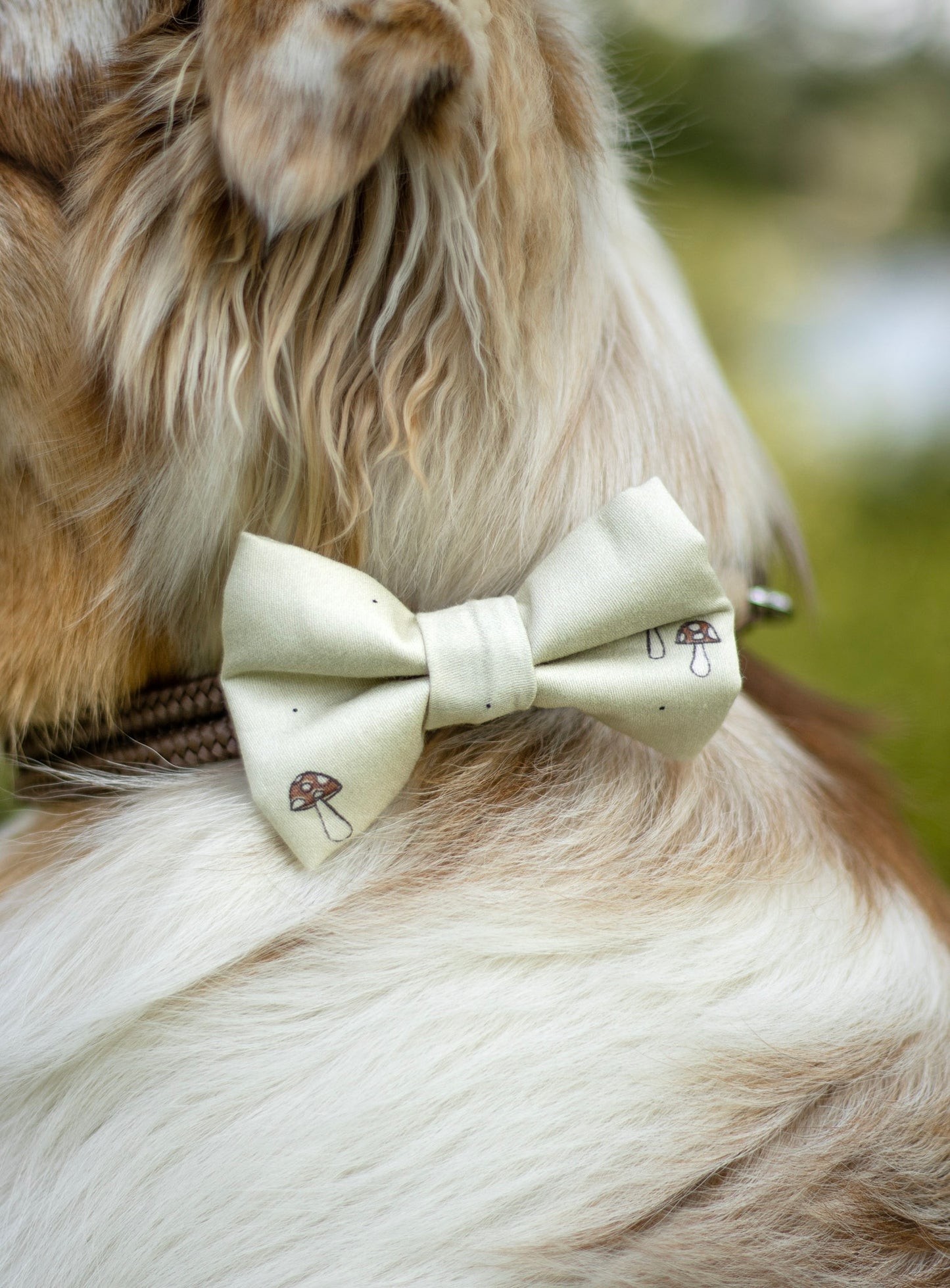 Klassisk Sløyfe - Beige med sopp