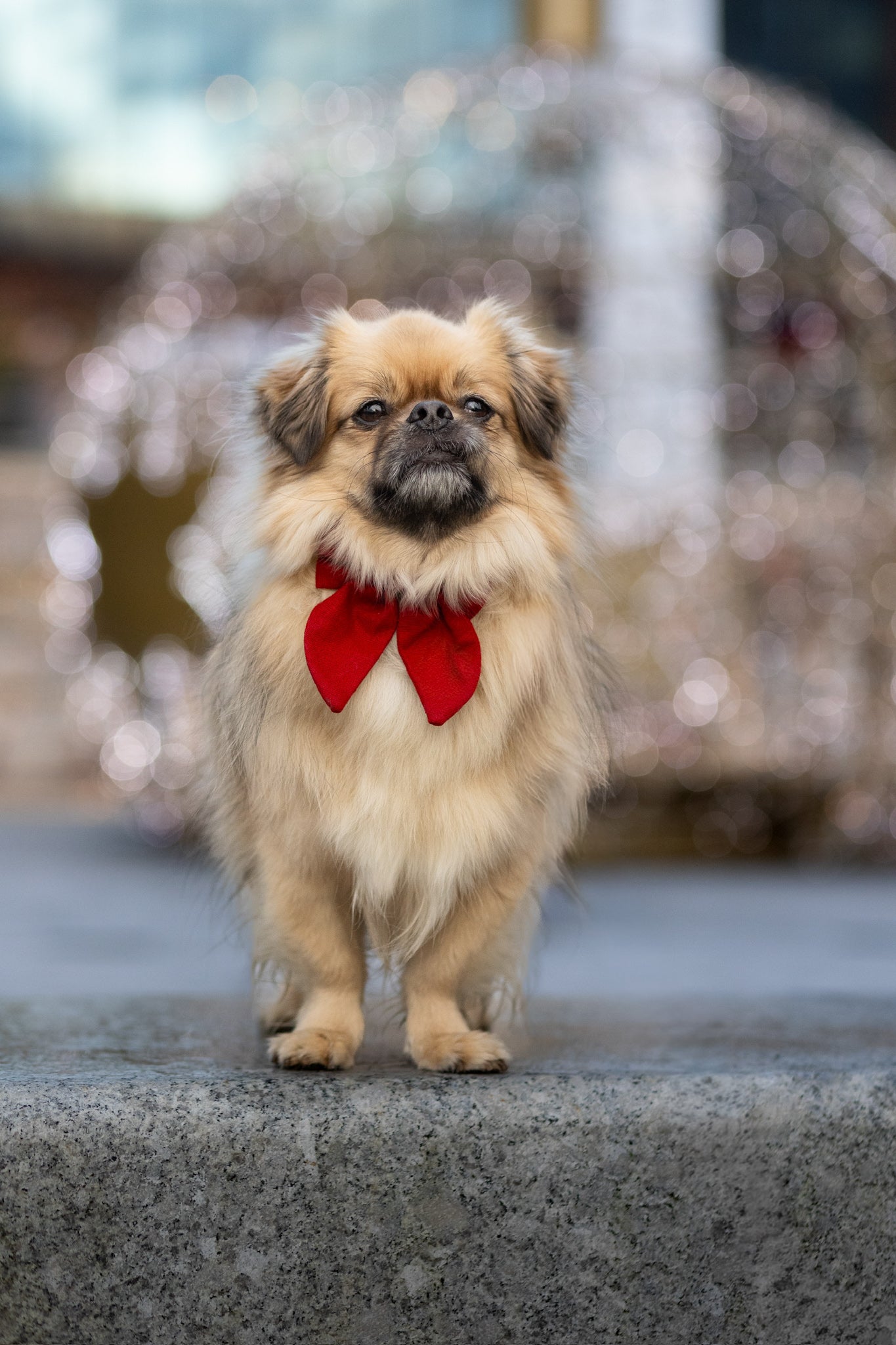 Vintage sløyfe - Rød lin