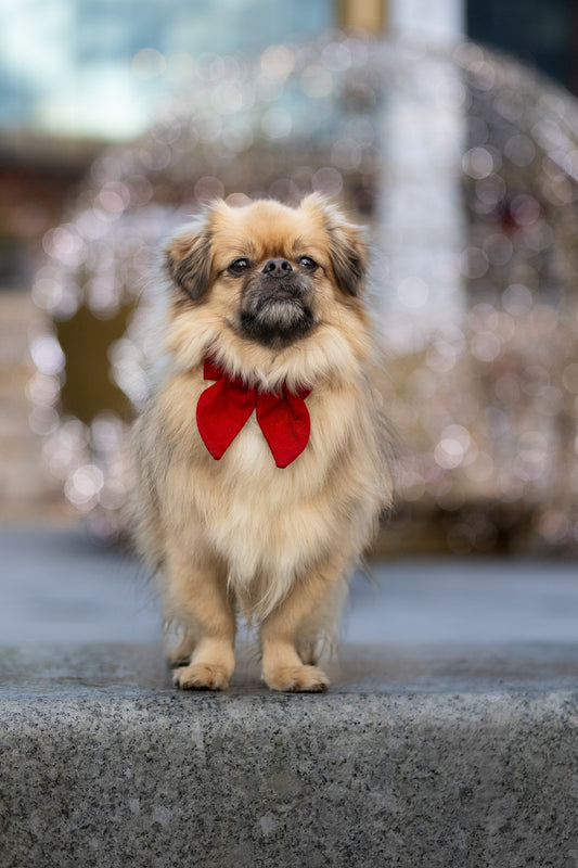 Vintage sløyfe - Rød lin