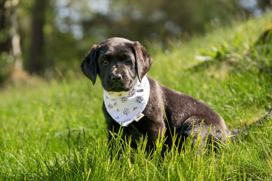 Modern - Blomsterbris