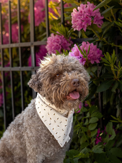 Modern - Off White med bier