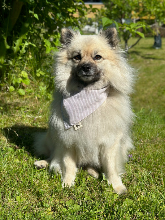 Modern - Beige med striper