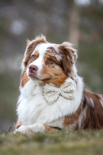 Klassisk sløyfe - Teddy