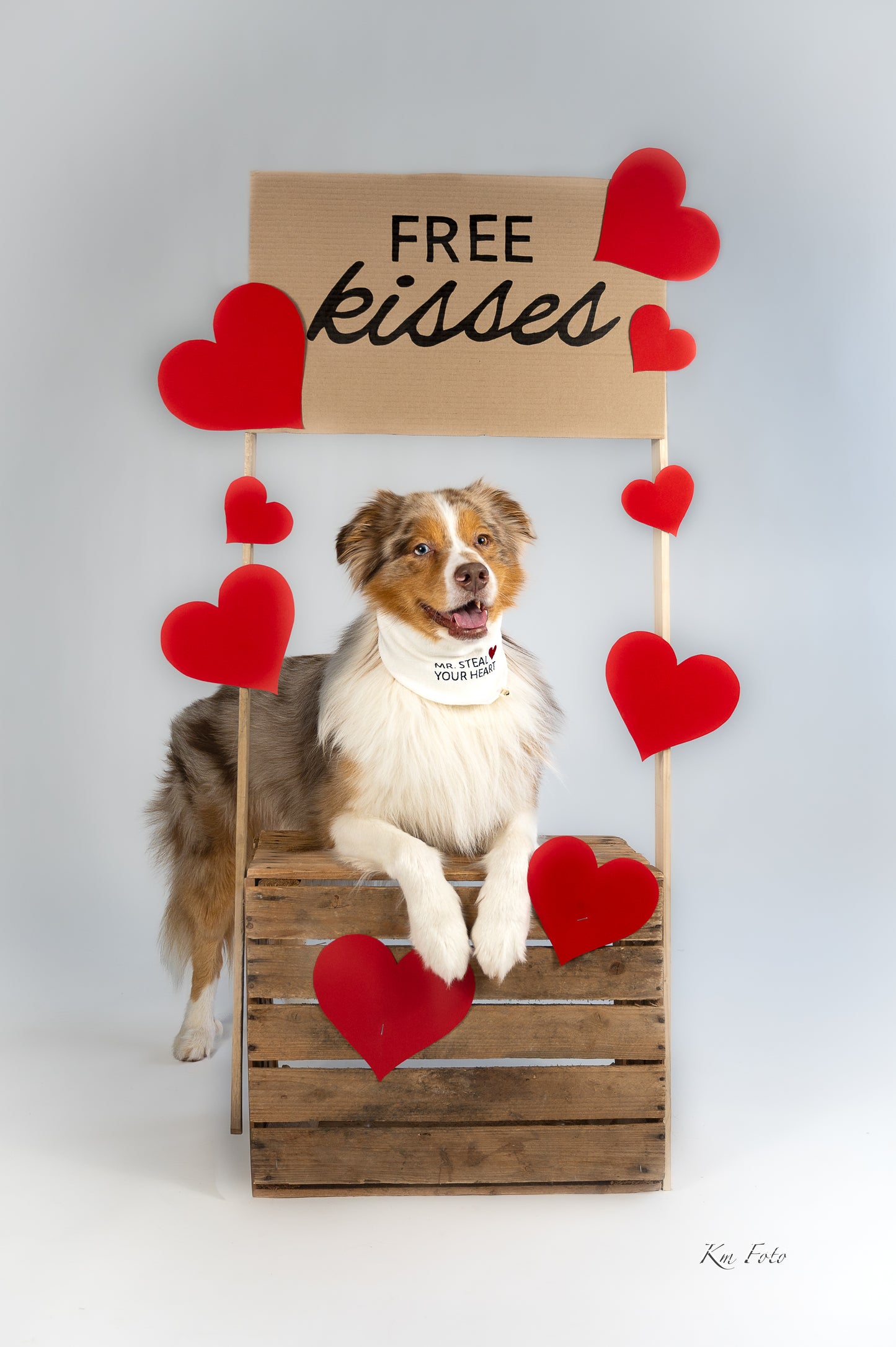 Mr. Steal Your Heart