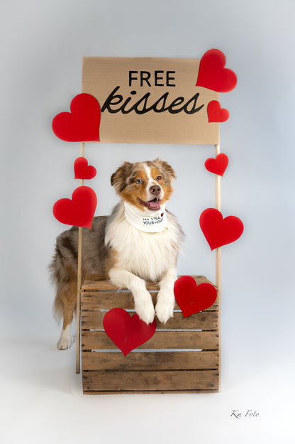 Mr. Steal Your Heart