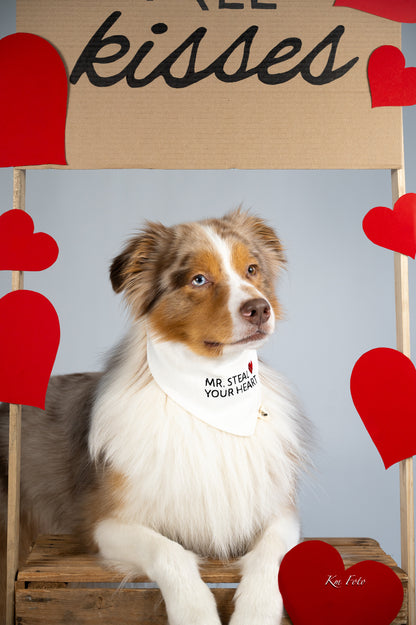 Mr. Steal Your Heart