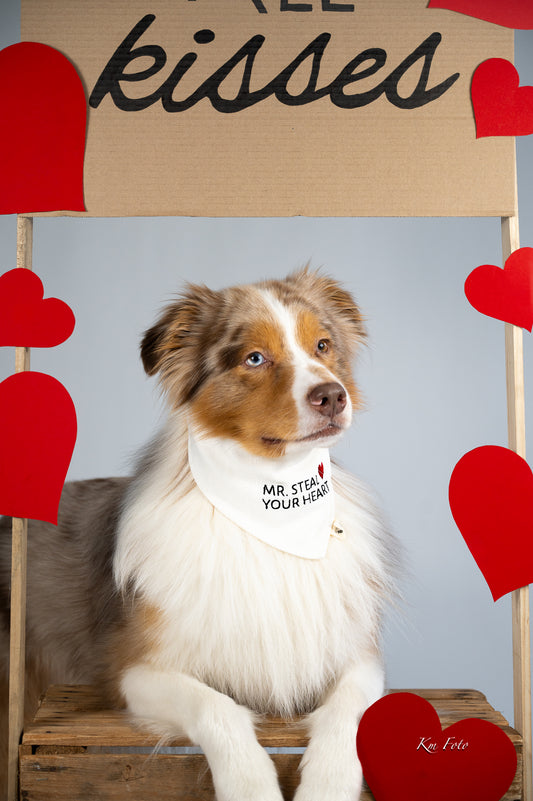 Mr. Steal Your Heart