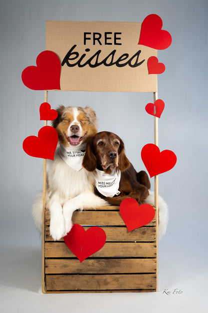 Miss Melt Your Heart