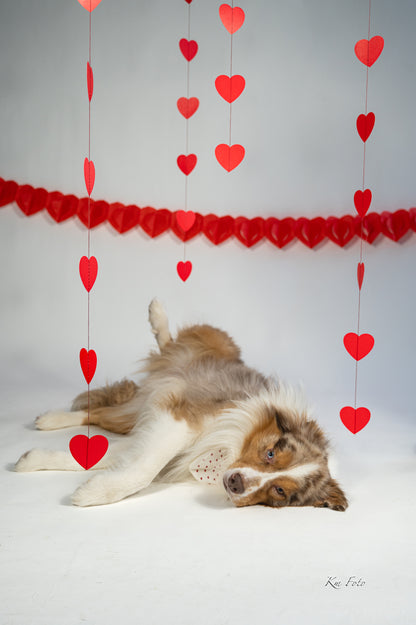 Vintage sløyfe - Petite