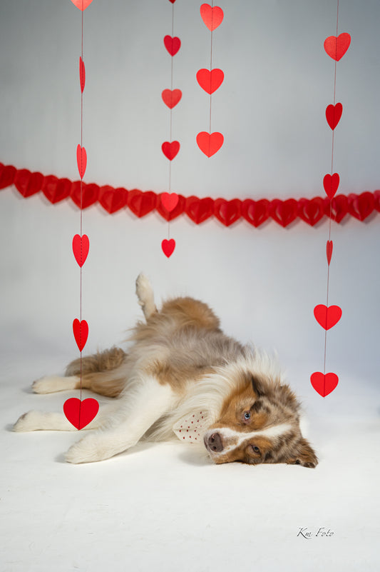 Vintage sløyfe - Petite