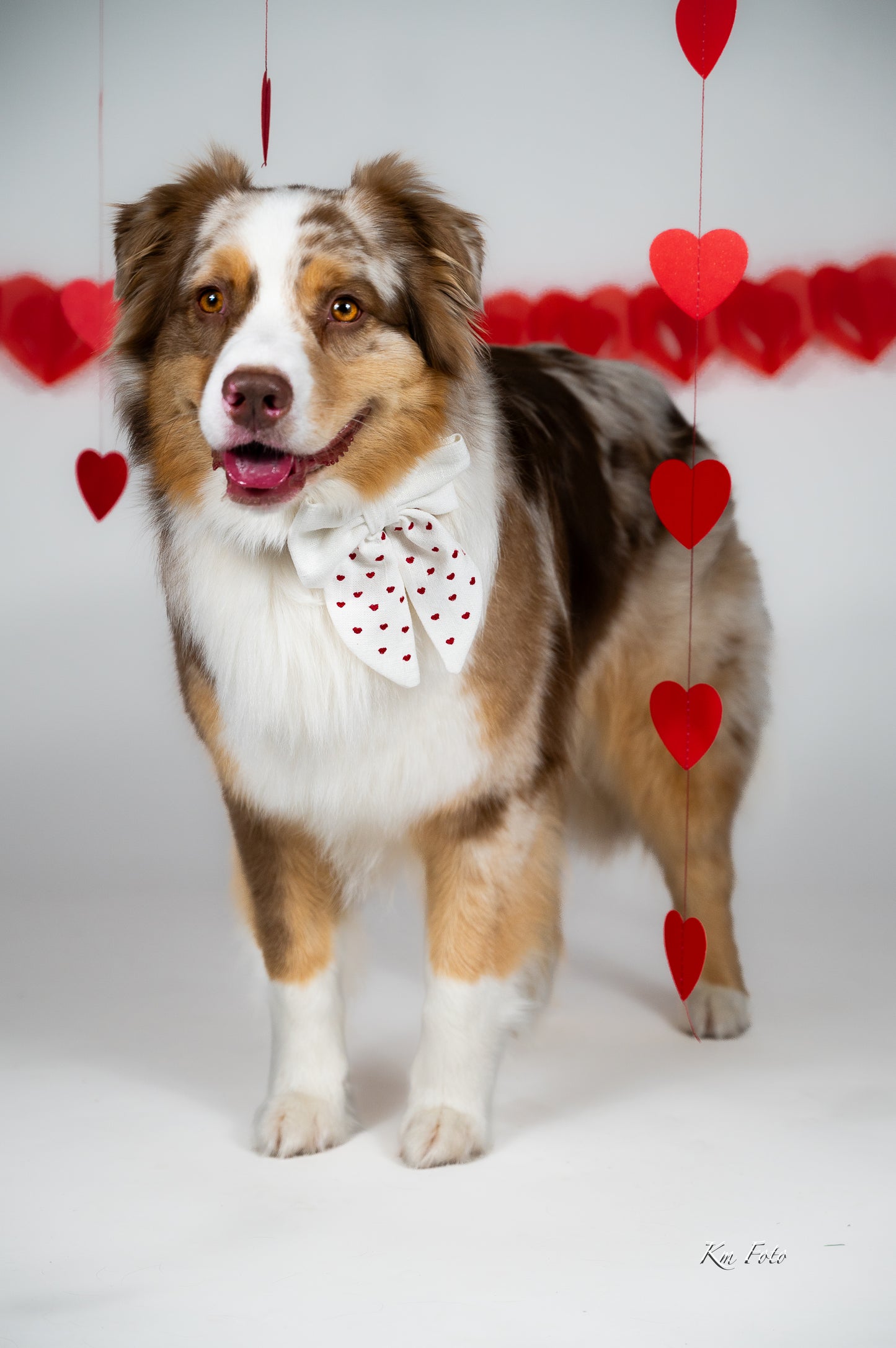 Vintage sløyfe - Petite