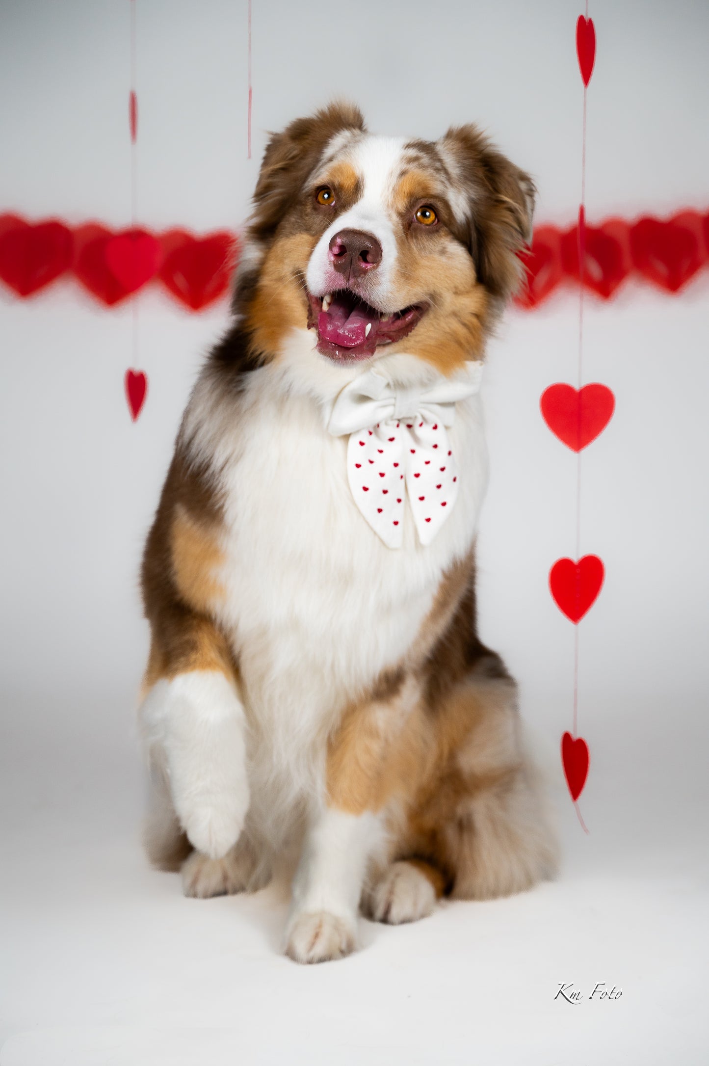 Vintage sløyfe - Petite