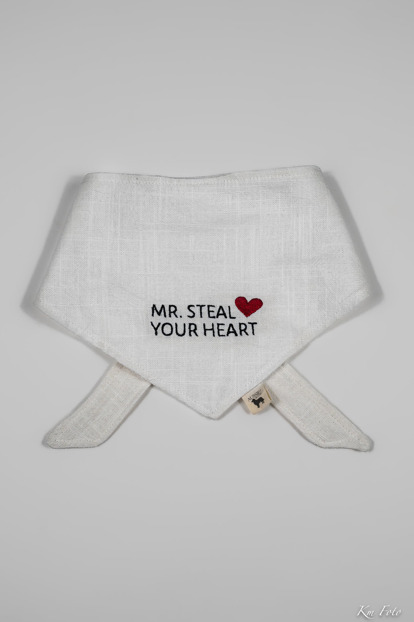 Mr. Steal Your Heart