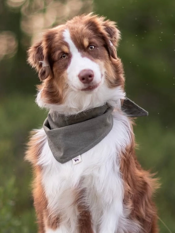 Modern - Khaki Grønn