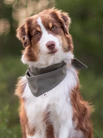 Modern - Khaki Grønn