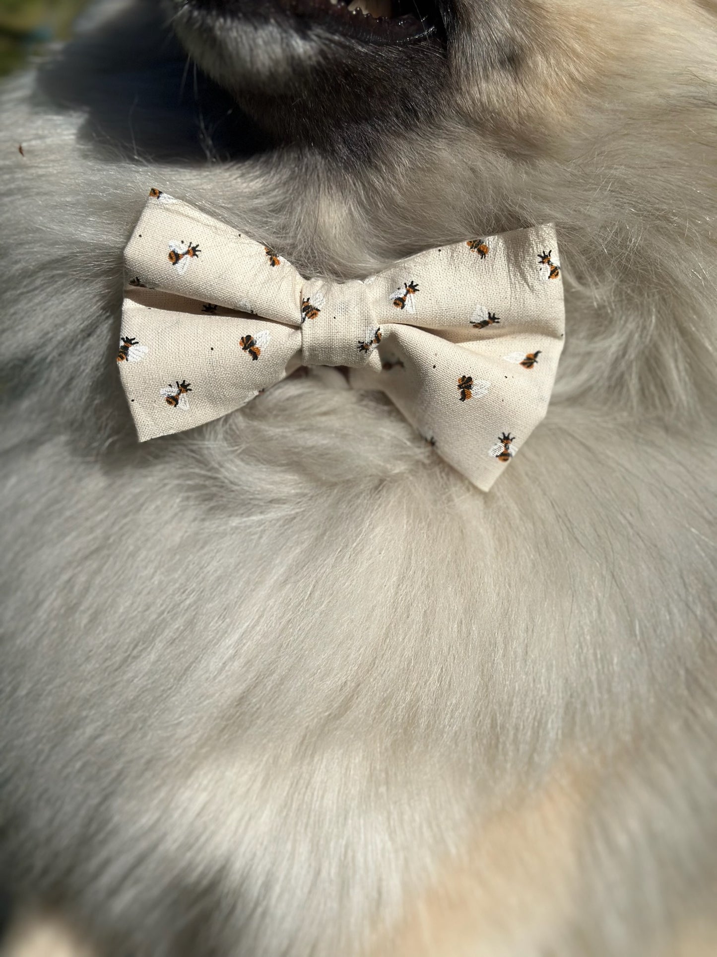 Klassisk Sløyfe - Off White med Bier