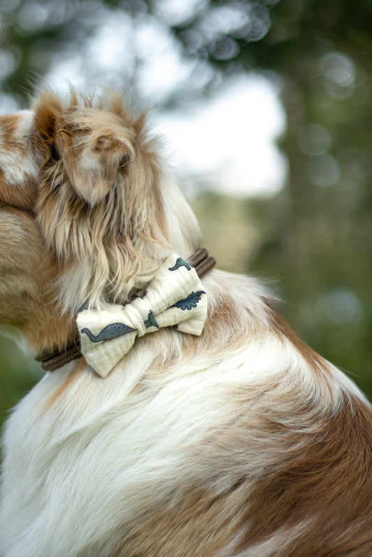 Klassisk Sløyfe - Dino