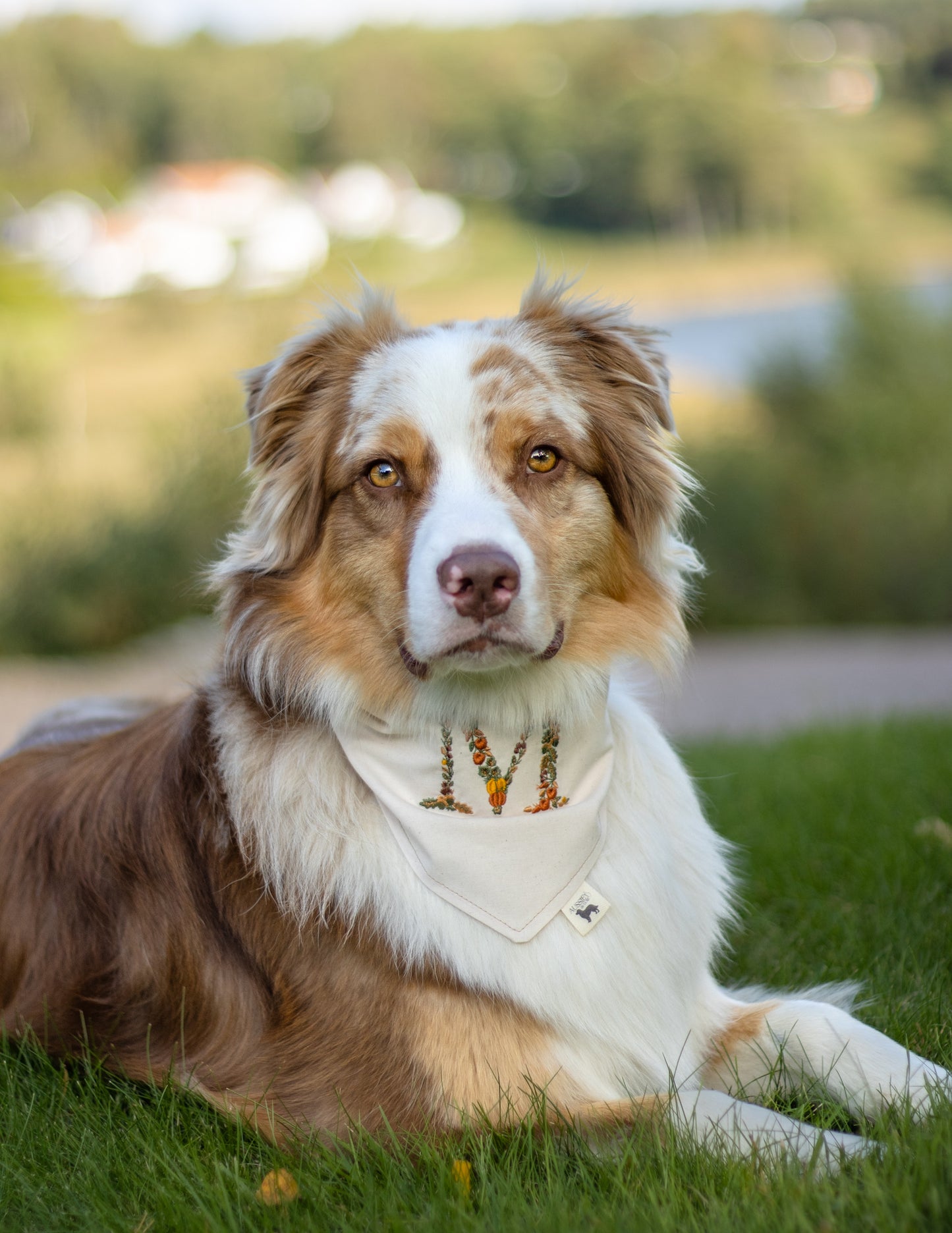 Modern - Høstinitial