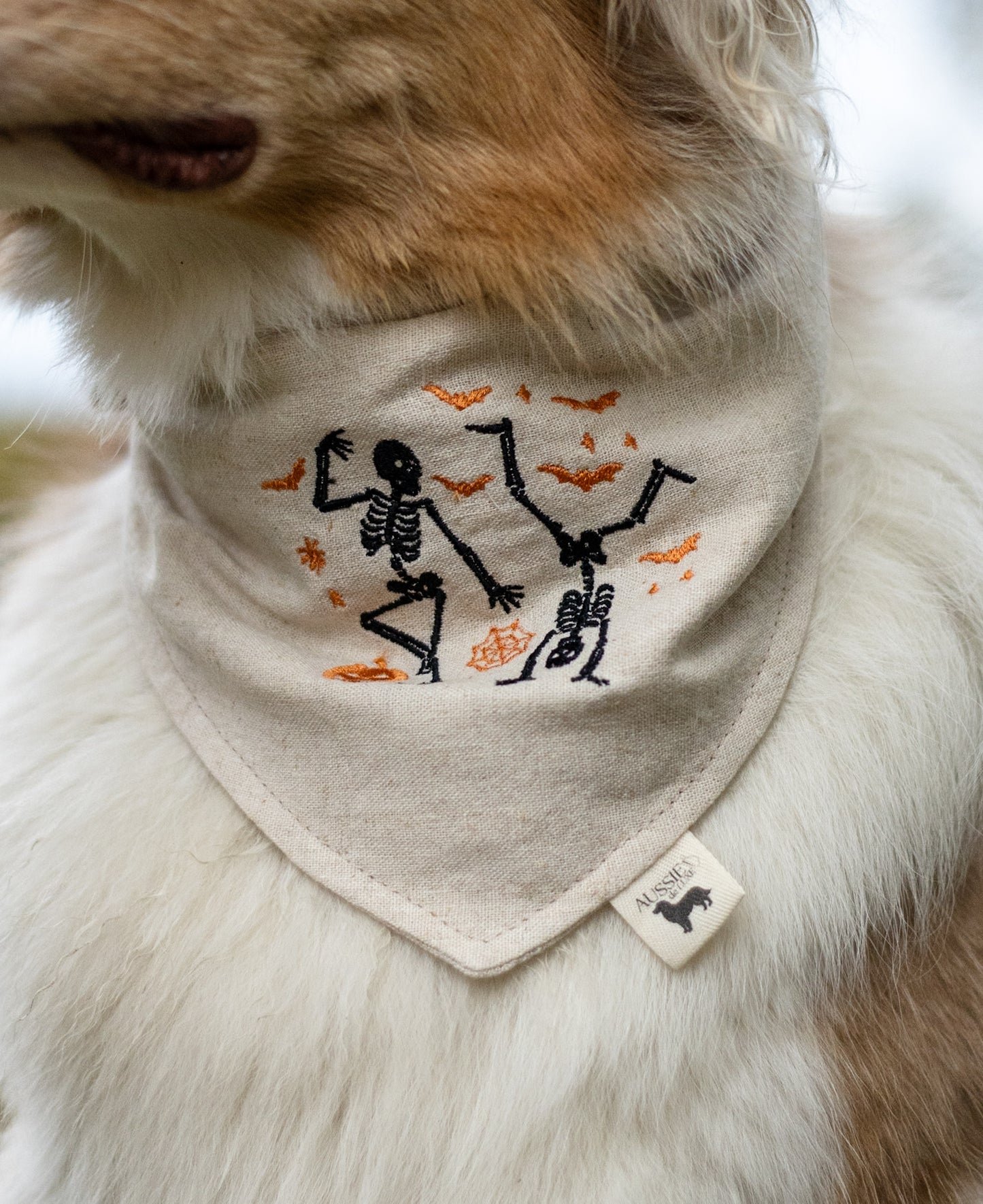 Modern - Skjelettboogie