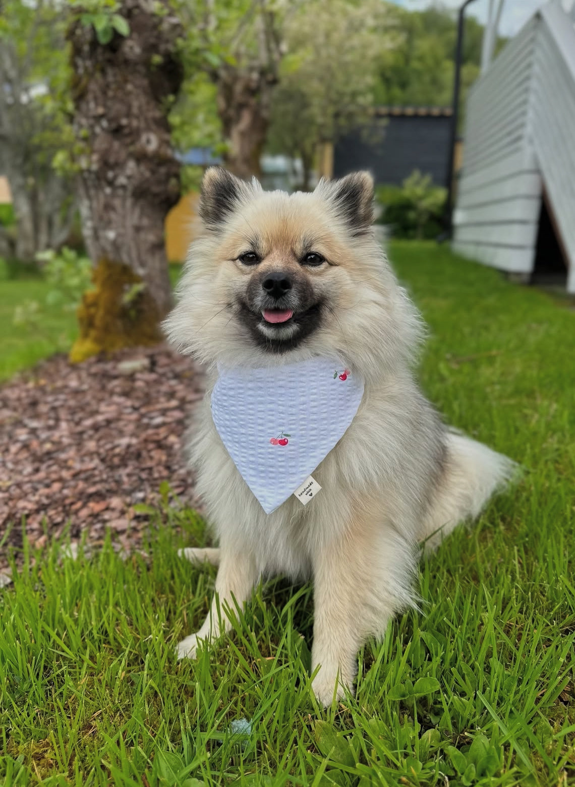 Modern - Hvit med kirsebær