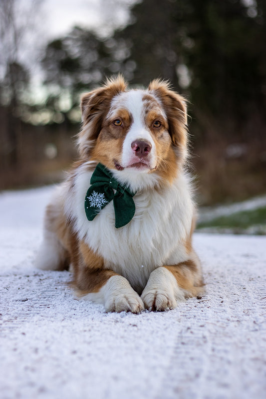 Vintage sløyfe - Snøfnugg