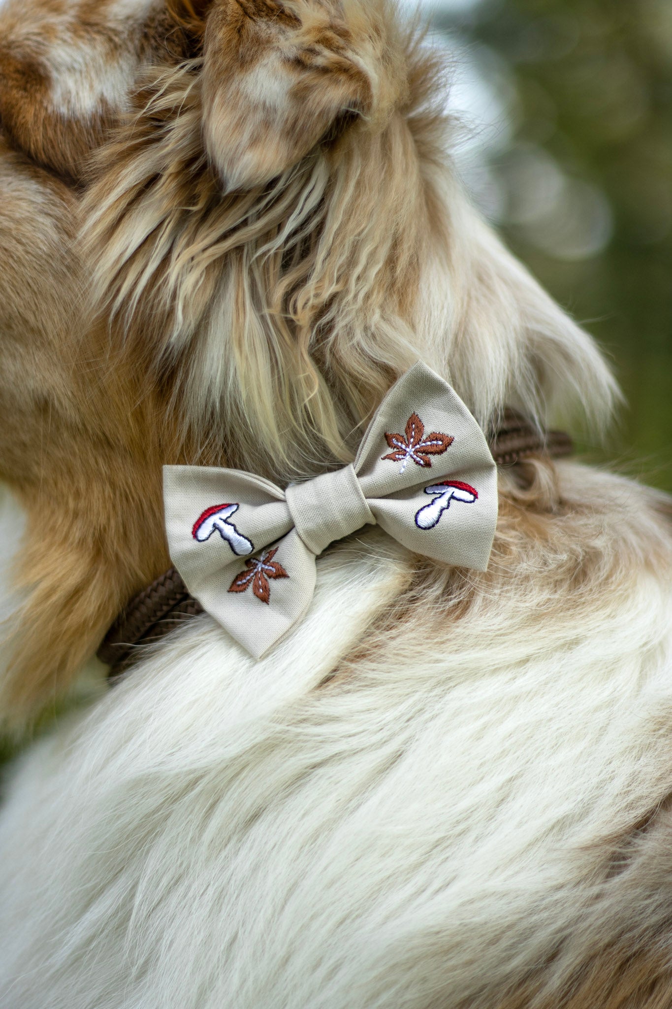 Klassisk Sløyfe - Høstdrøm