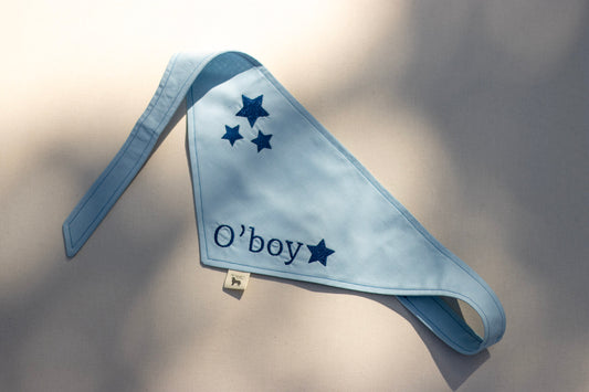 Spesialbestilling Bandana