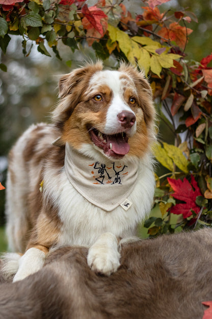 Modern - Skjelettboogie