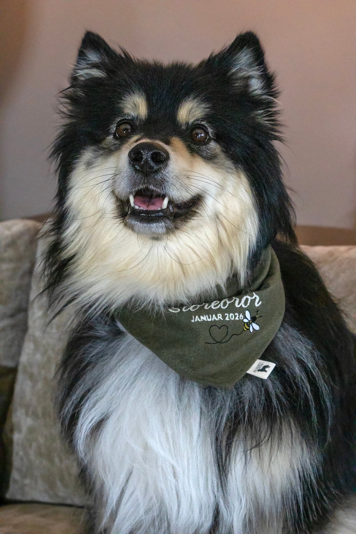 Søskenbandana