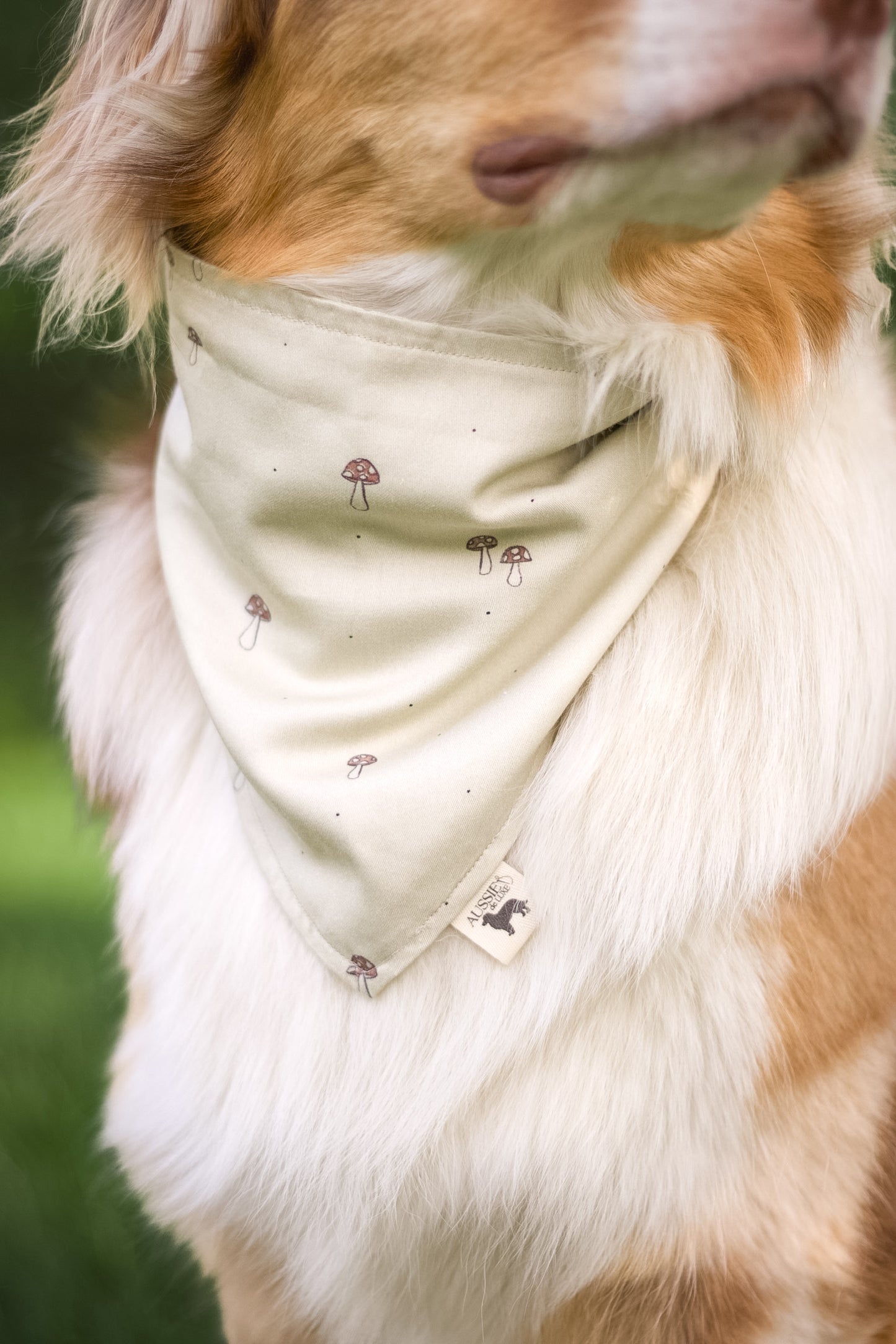 Modern - Beige med sopp