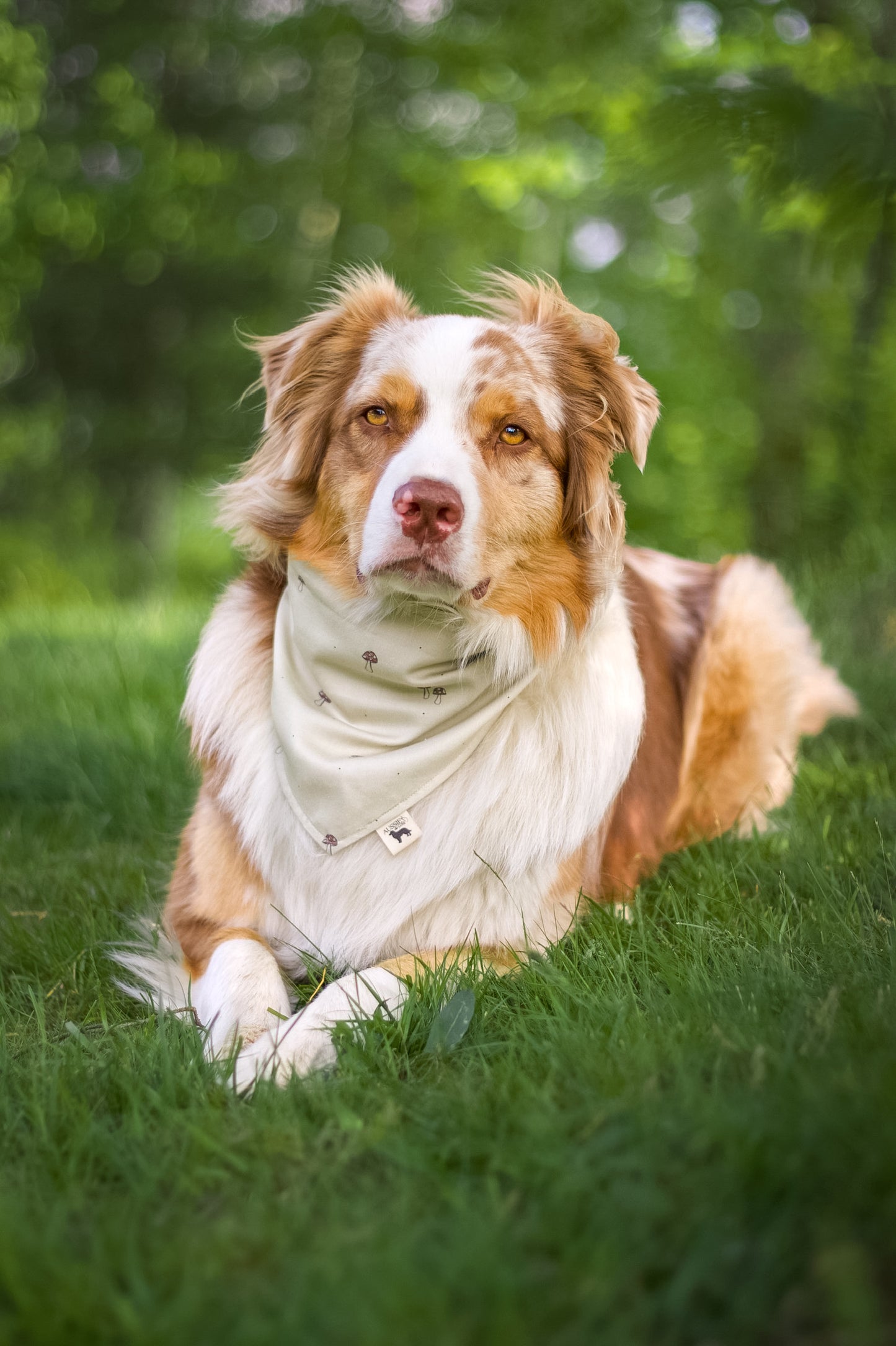 Modern - Beige med sopp