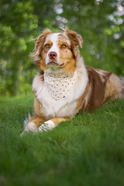 Modern - Off White med bier