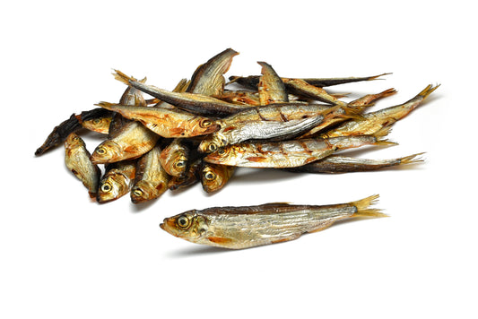 Brisling