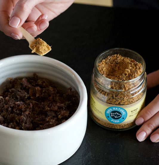 Topper av atlantisk makrell